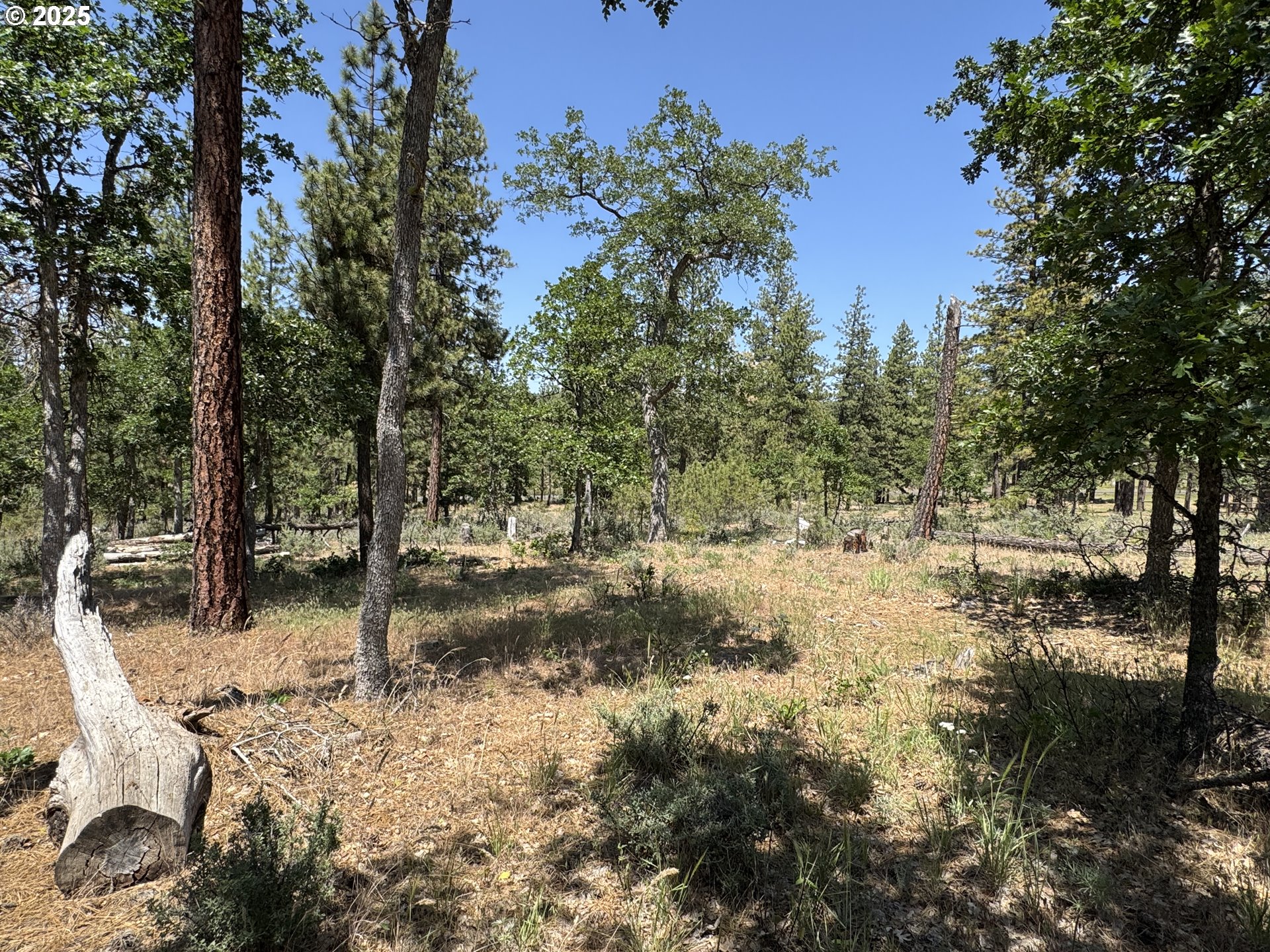 531 Cushman Road Goldendale, WA 98620 - Photo 12 of 38 Bedroom