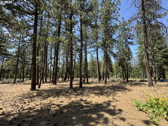 a view of outdoor space with trees