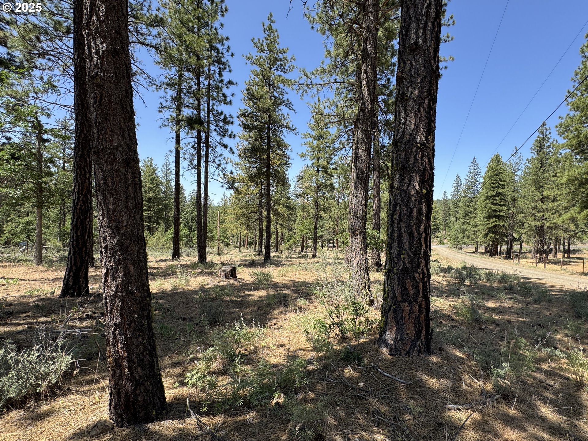 531 Cushman Road Goldendale, WA 98620 - Photo 17 of 38