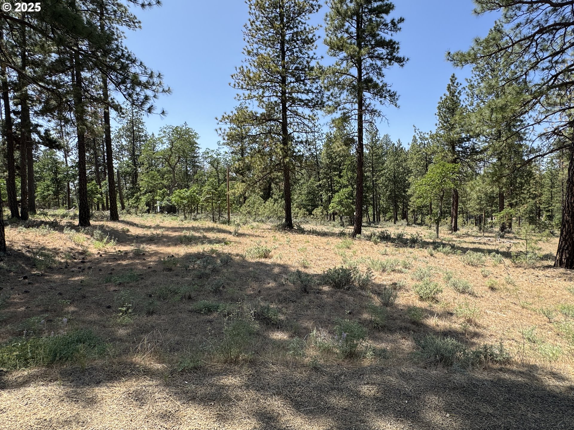 531 Cushman Road Goldendale, WA 98620 - Photo 21 of 38 Guest Quarters