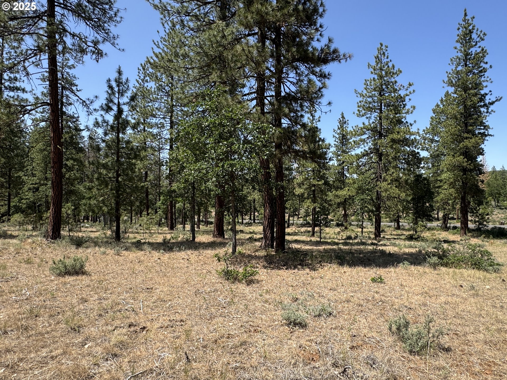 531 Cushman Road Goldendale, WA 98620 - Photo 22 of 38 Guest Quarters