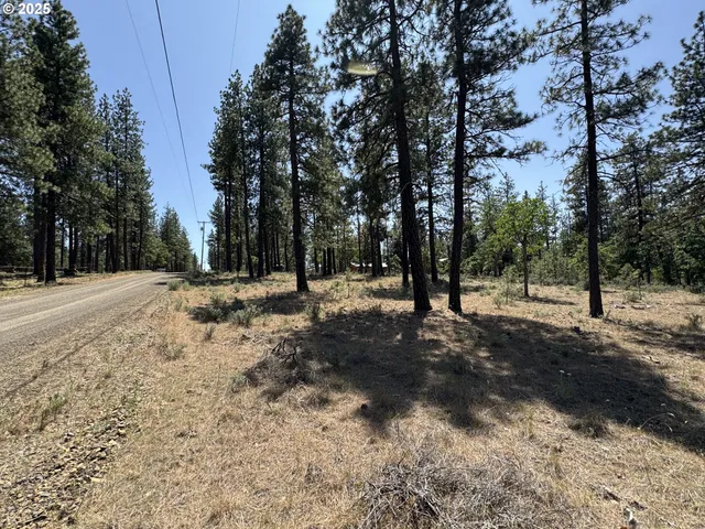 a view of outdoor space with trees