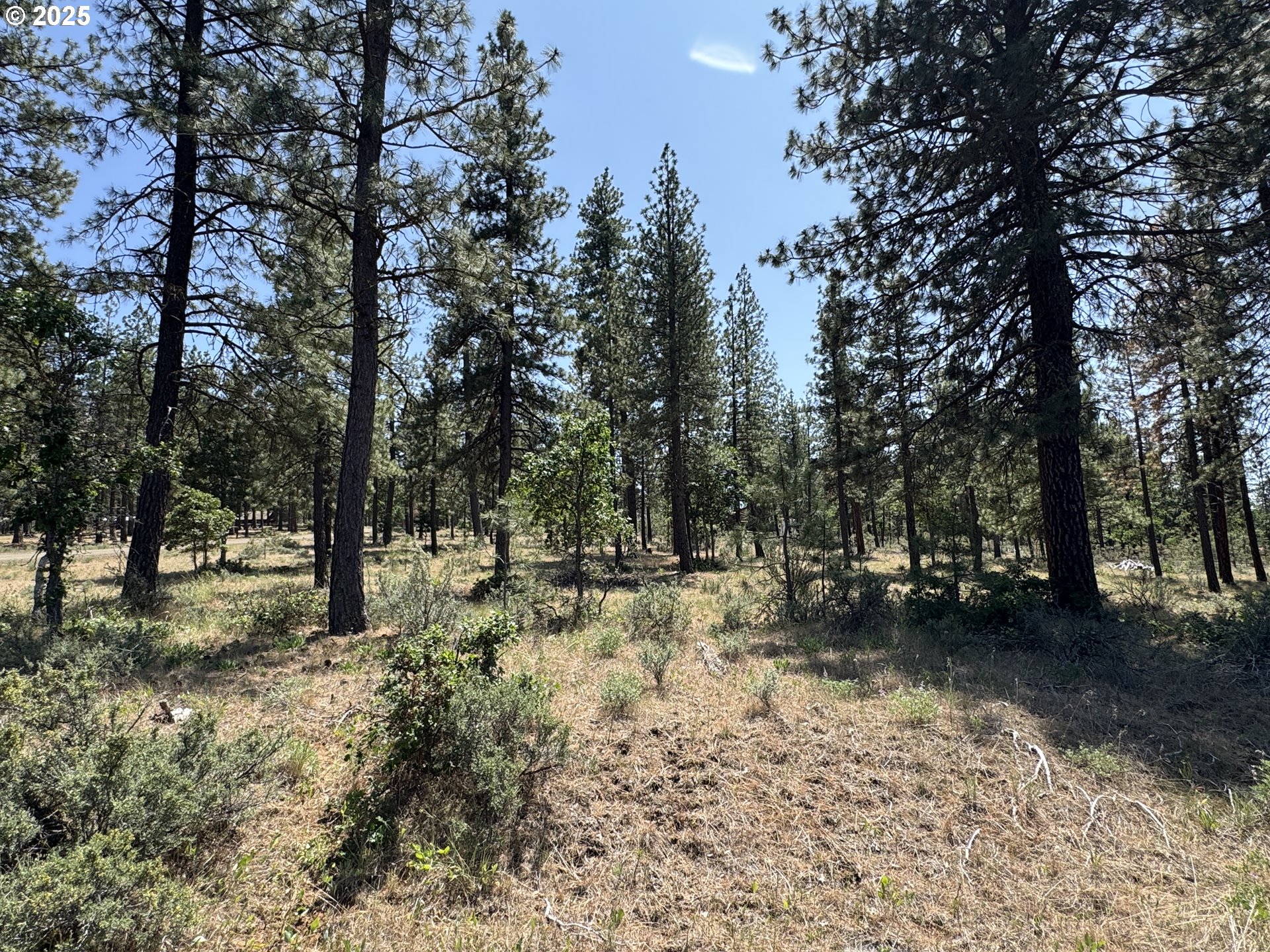 531 Cushman Road Goldendale, WA 98620 - Photo 24 of 38