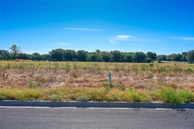 a view of lake from a yard
