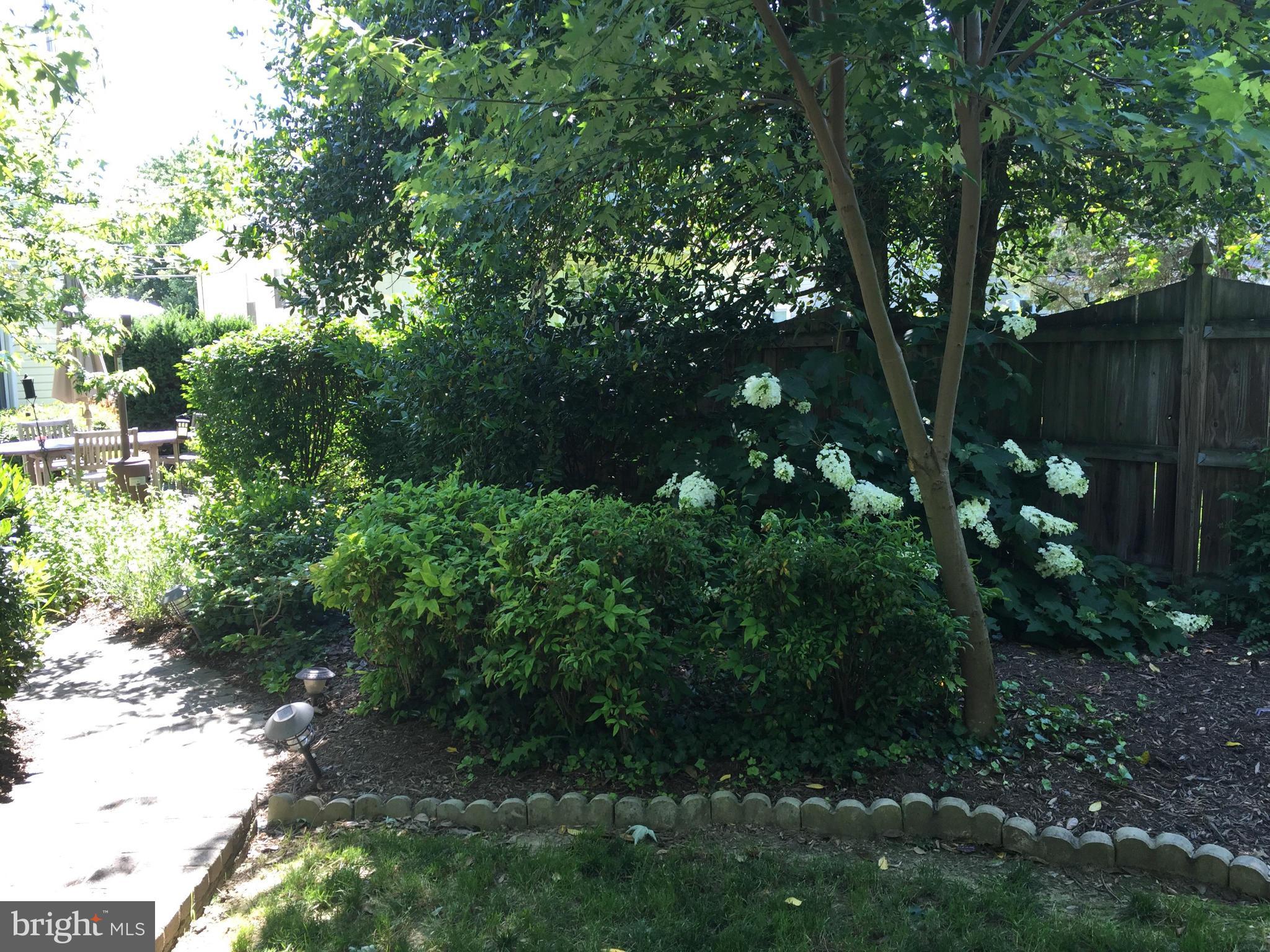 701 Ritchie Avenue Silver Spring, MD 20910 - Photo 25 of 30 Exterior (General)