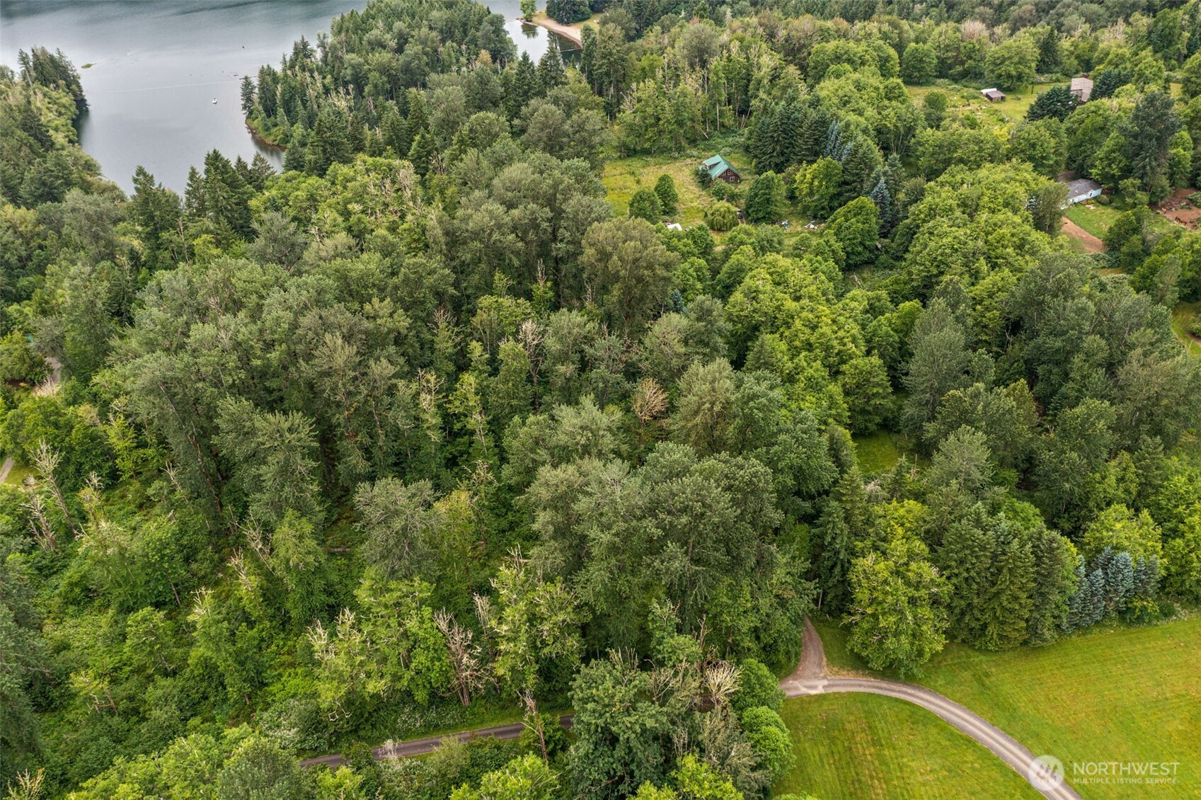 -xxx Harmony Road Mossyrock, WA 98564 - Photo 6 of 19