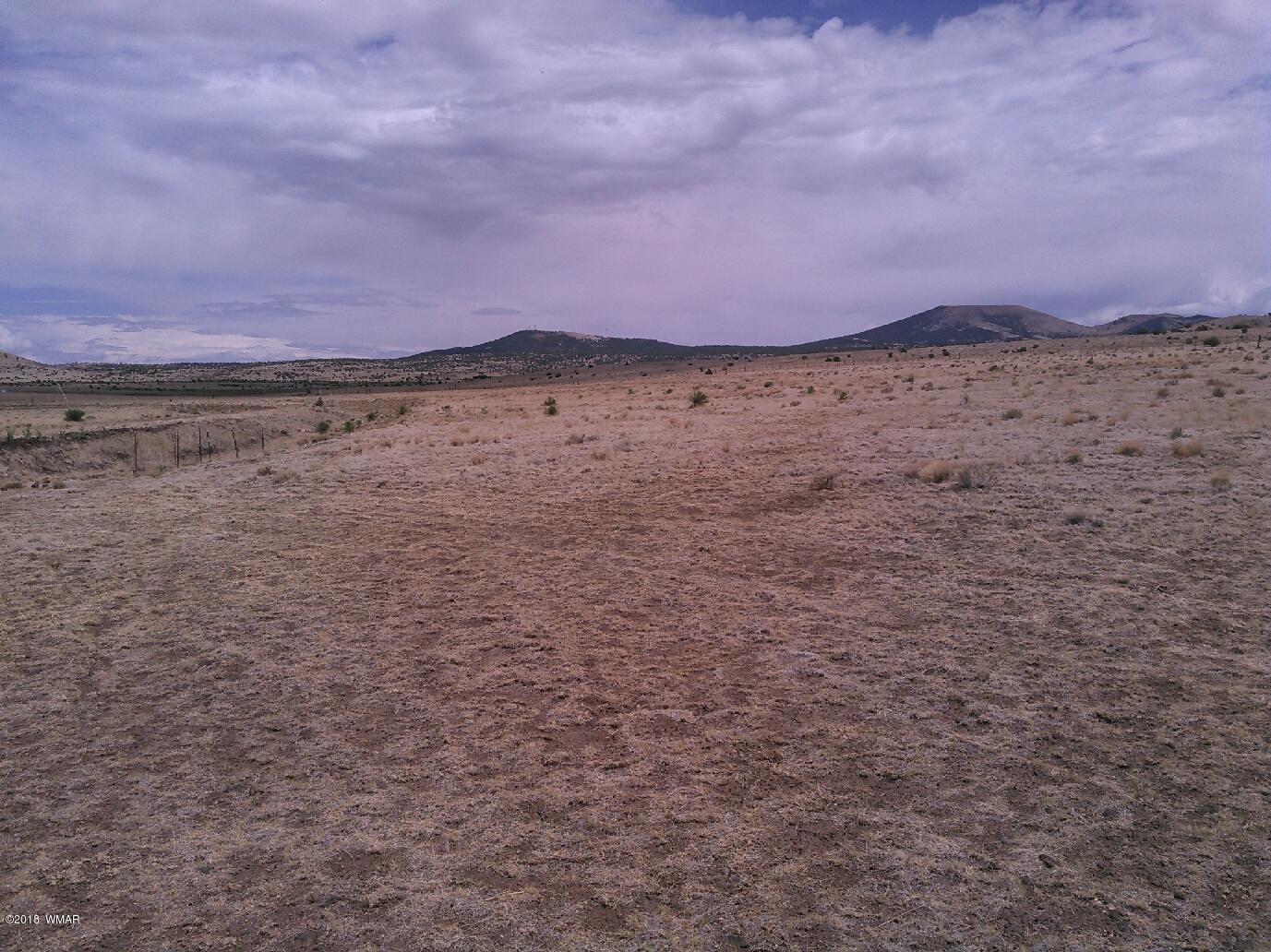 County Rd North County Road Concho, AZ 85924 - Photo 1 of 6