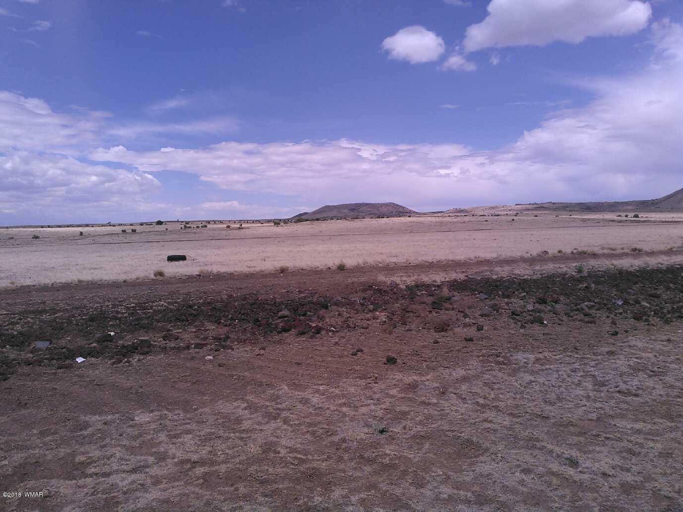 County Rd North County Road Concho, AZ 85924 - Photo 3 of 6