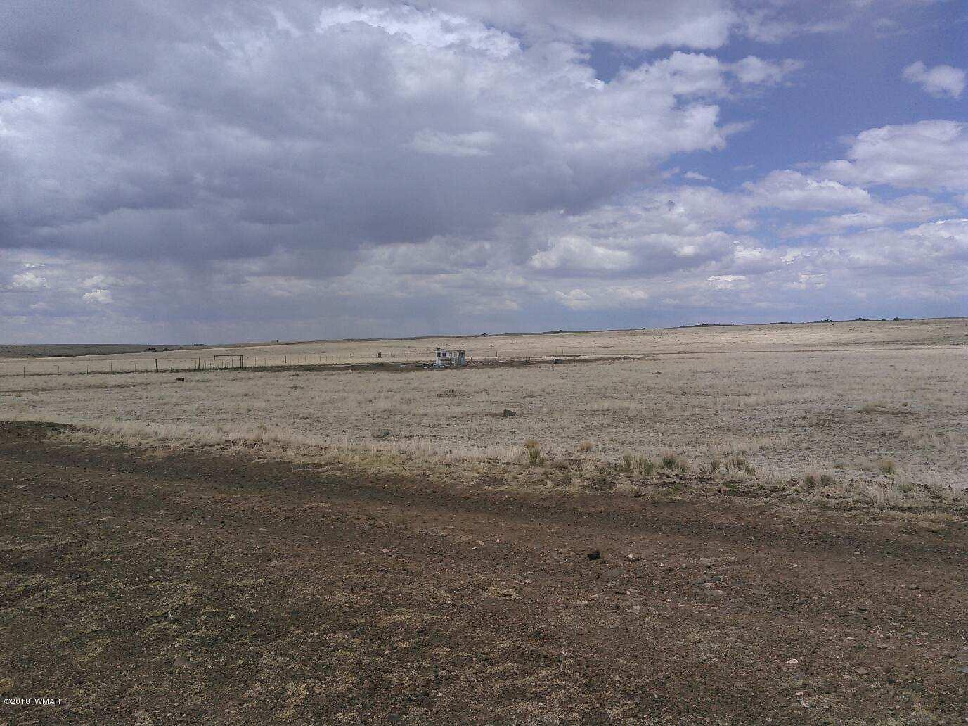 County Rd North County Road Concho, AZ 85924 - Photo 4 of 6