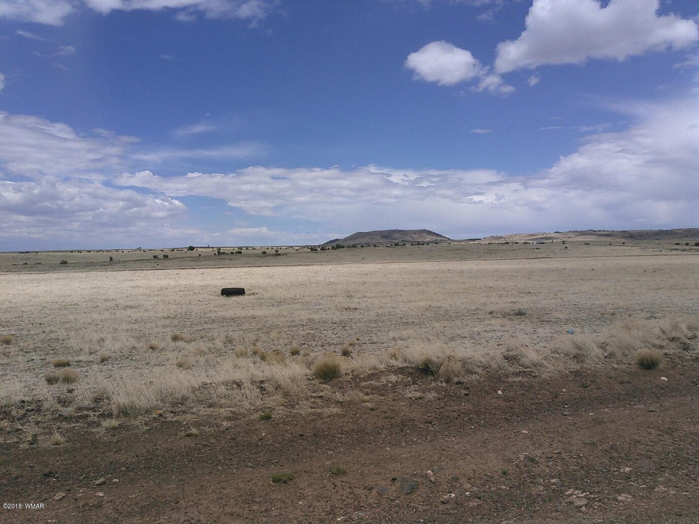 County Rd North County Road Concho, AZ 85924 - Photo 5 of 6
