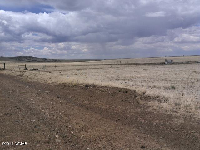 County Rd North County Road Concho, AZ 85924 - Photo 6 of 6
