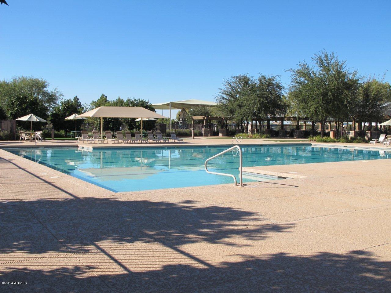 3473 South Rim Road Gilbert, AZ 85297 - Photo 39 of 42 COMM POOL6