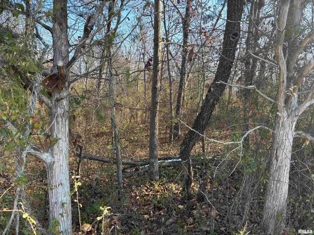 $274,000 | 0 North Dartmouth Lane, Mount Vernon, IL 62864