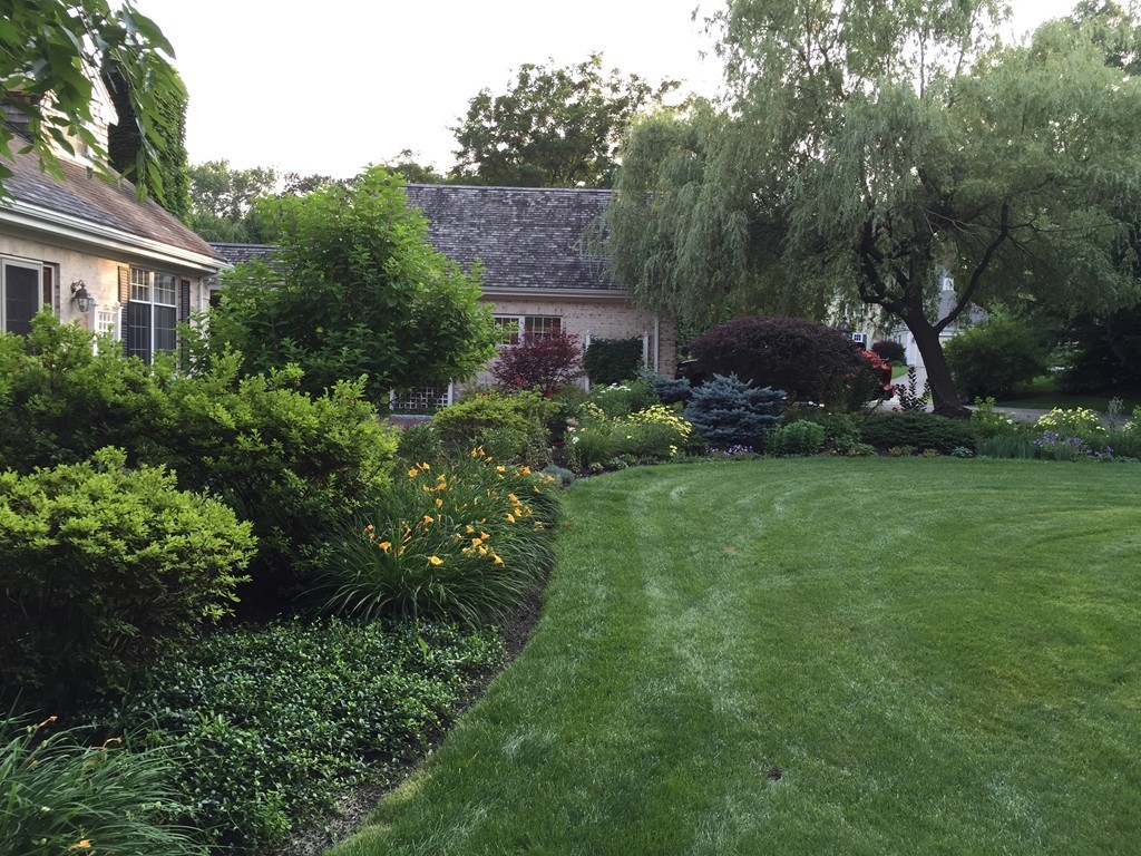 358 Cartwright Needham, MA 02492 - Photo 21 of 23