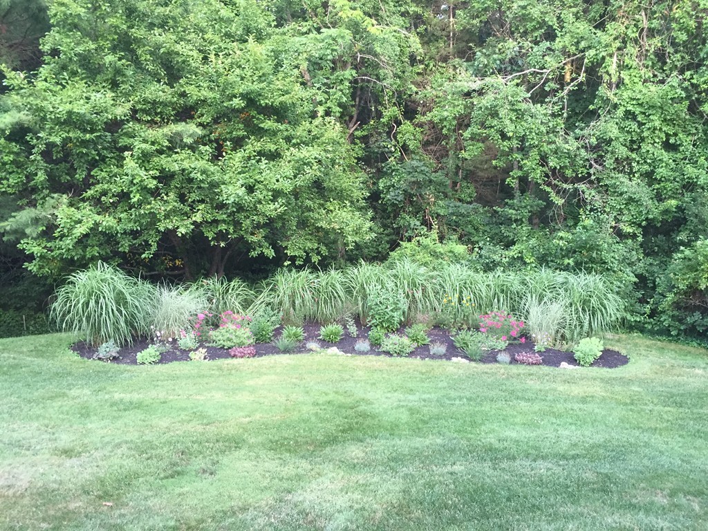 358 Cartwright Needham, MA 02492 - Photo 22 of 23