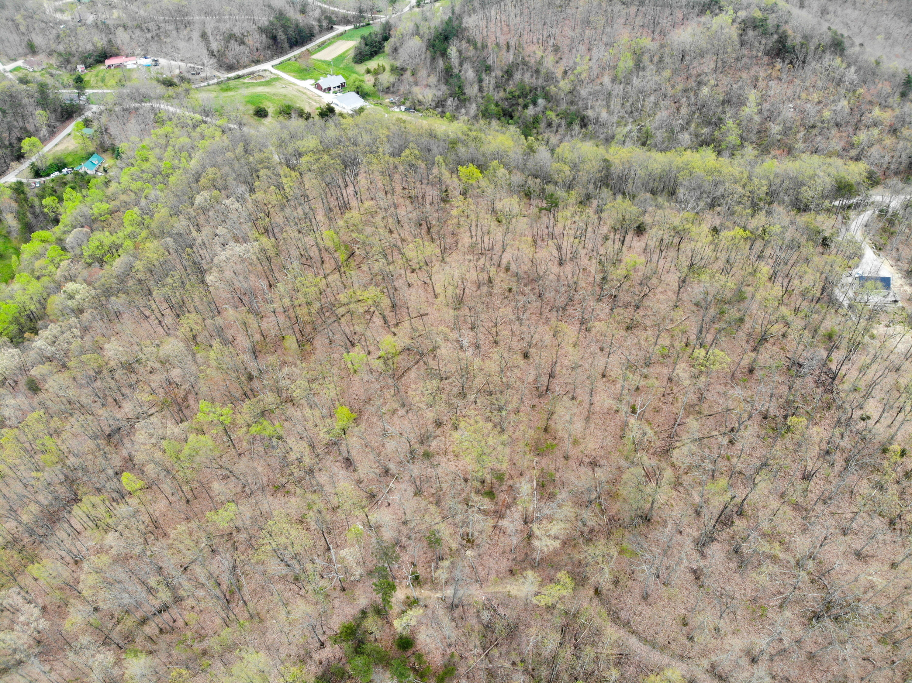 9999 Flat Gap Road Berea, KY 40403 - Photo 10 of 14 DJI_0545-2