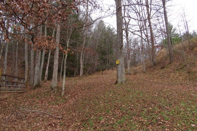 Tbd Pridemoore Road, Unit 2 Galax, VA 24333 - Photo 23 of 72 Gallery Image 23