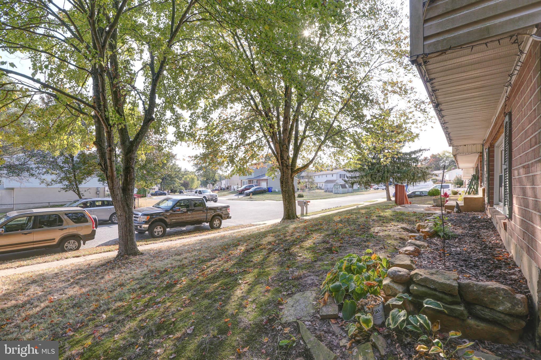 15 Evergreen Drive Newark, DE 19702 - Photo 7 of 85 a view of a tree in the middle of a yard