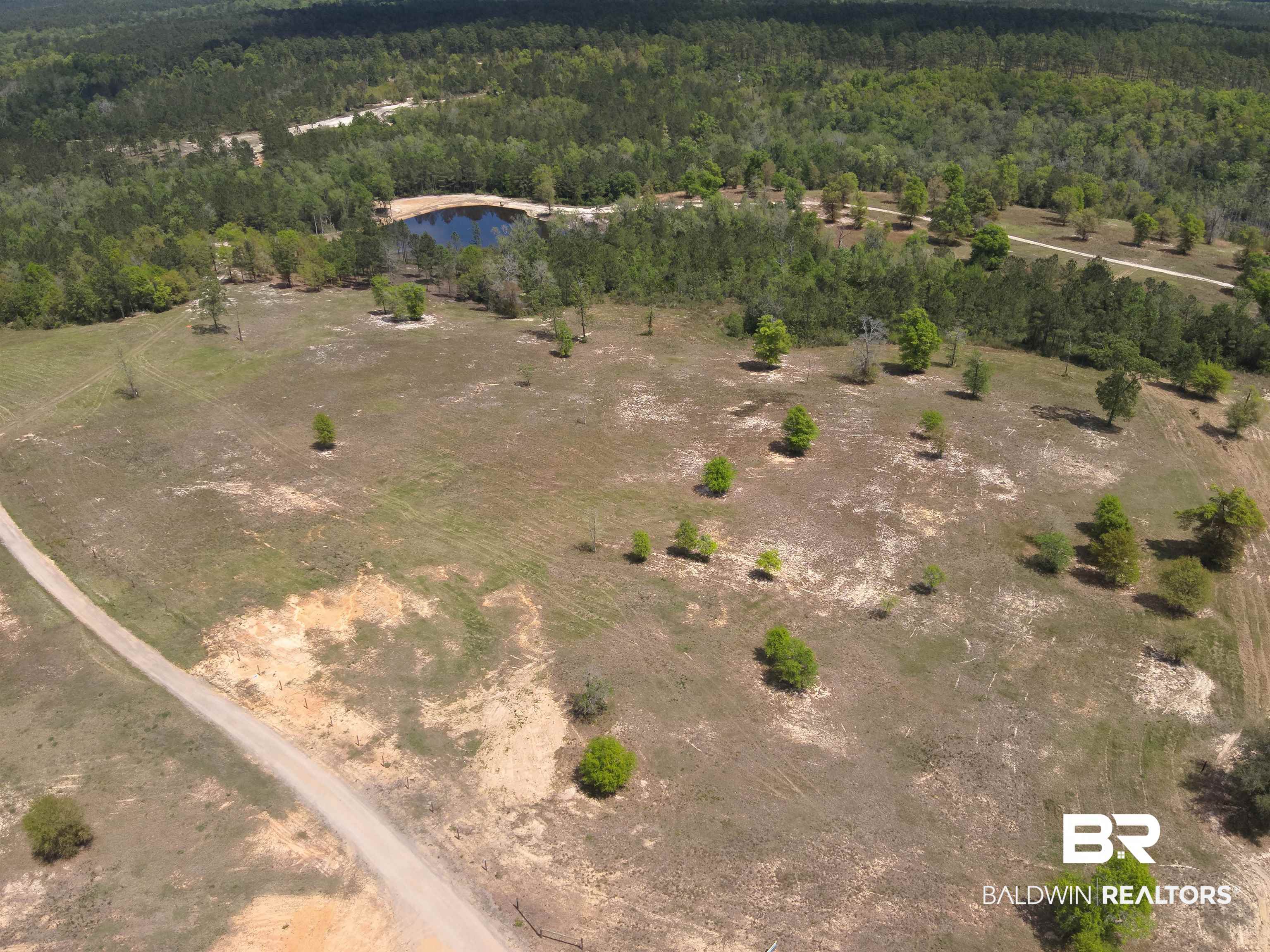 0 Powell Road Eight Mile, AL 36613 - Photo 10 of 57