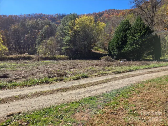 a view of a yard with a tree
