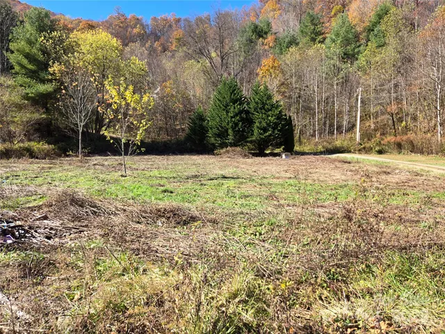 a view of a yard with trees