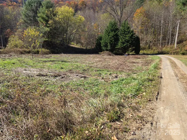 a view of a yard with trees