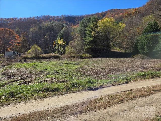 a view of a road with a large trees