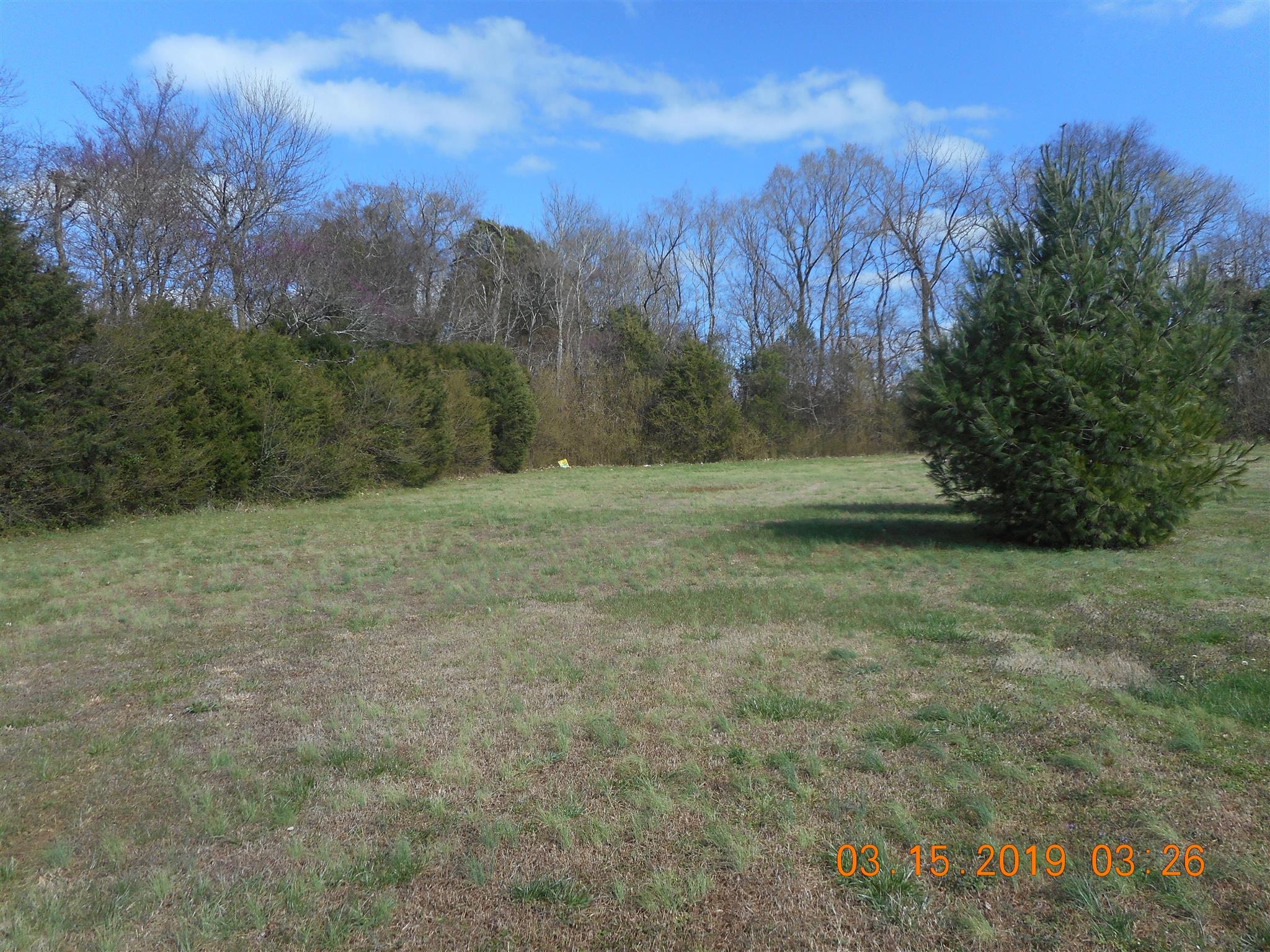 4611 Smiley Road Chapel Hill, TN 37034 - Photo 12 of 13 Large Lot & Private setting view from your back deck.
