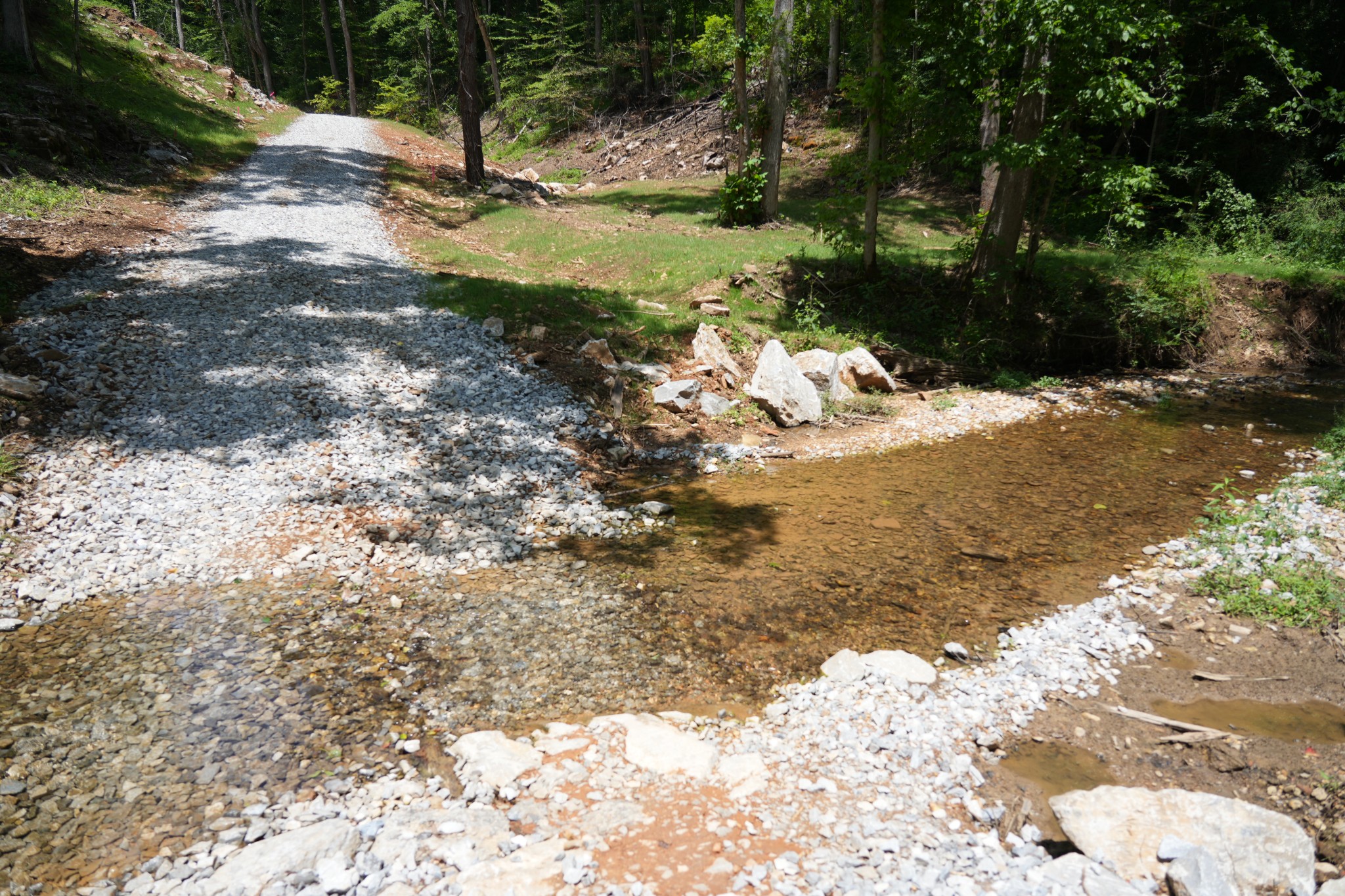 1 Budds Creek Road Palmyra, TN 37142 - Photo 8 of 76