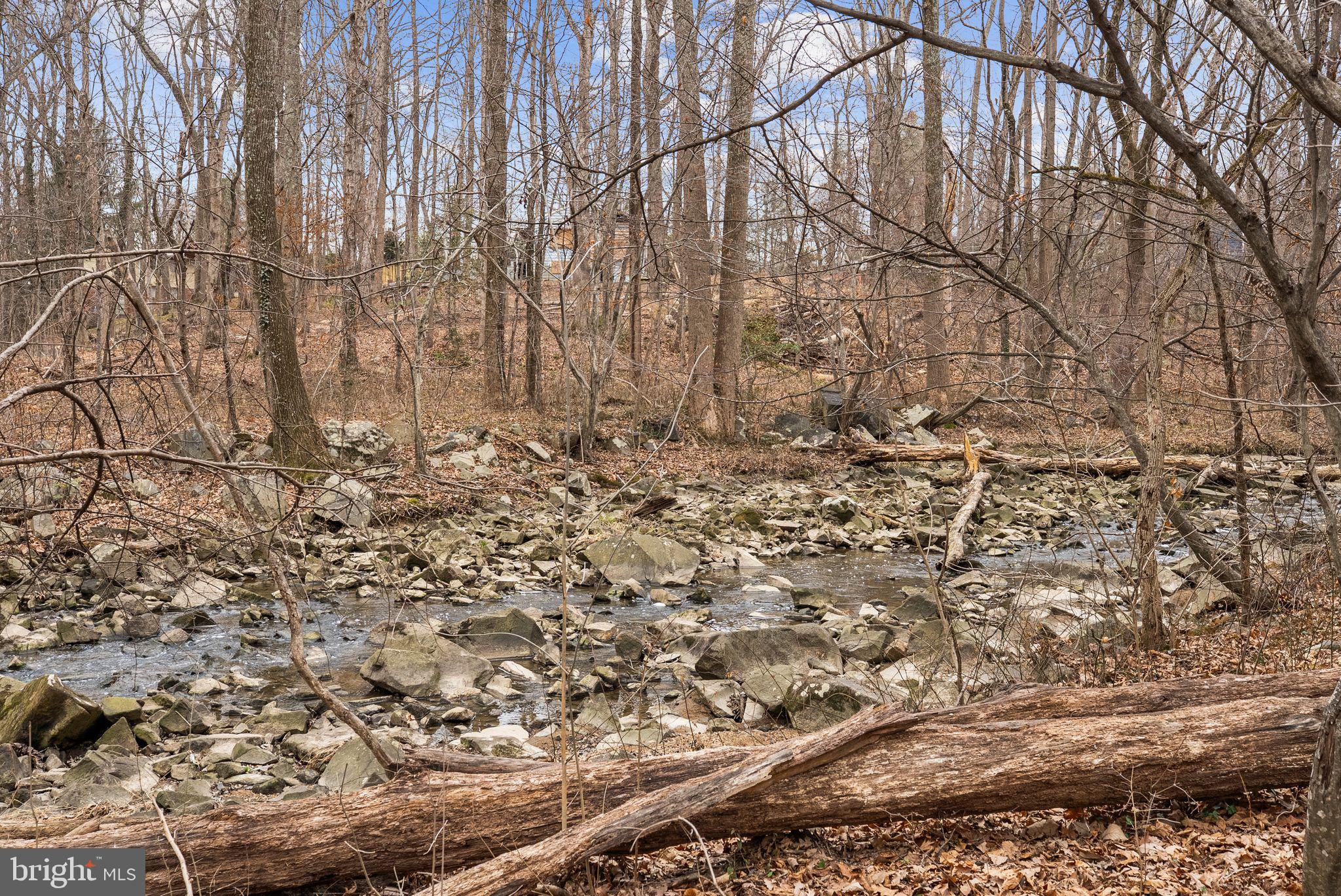 7405 Add Drive Falls Church, VA 22042 - Photo 59 of 74 A creek behind the house