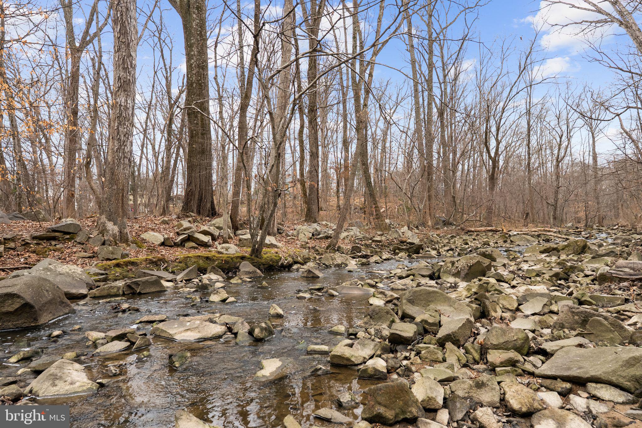 7405 Add Drive Falls Church, VA 22042 - Photo 60 of 74 You can get away from it all here