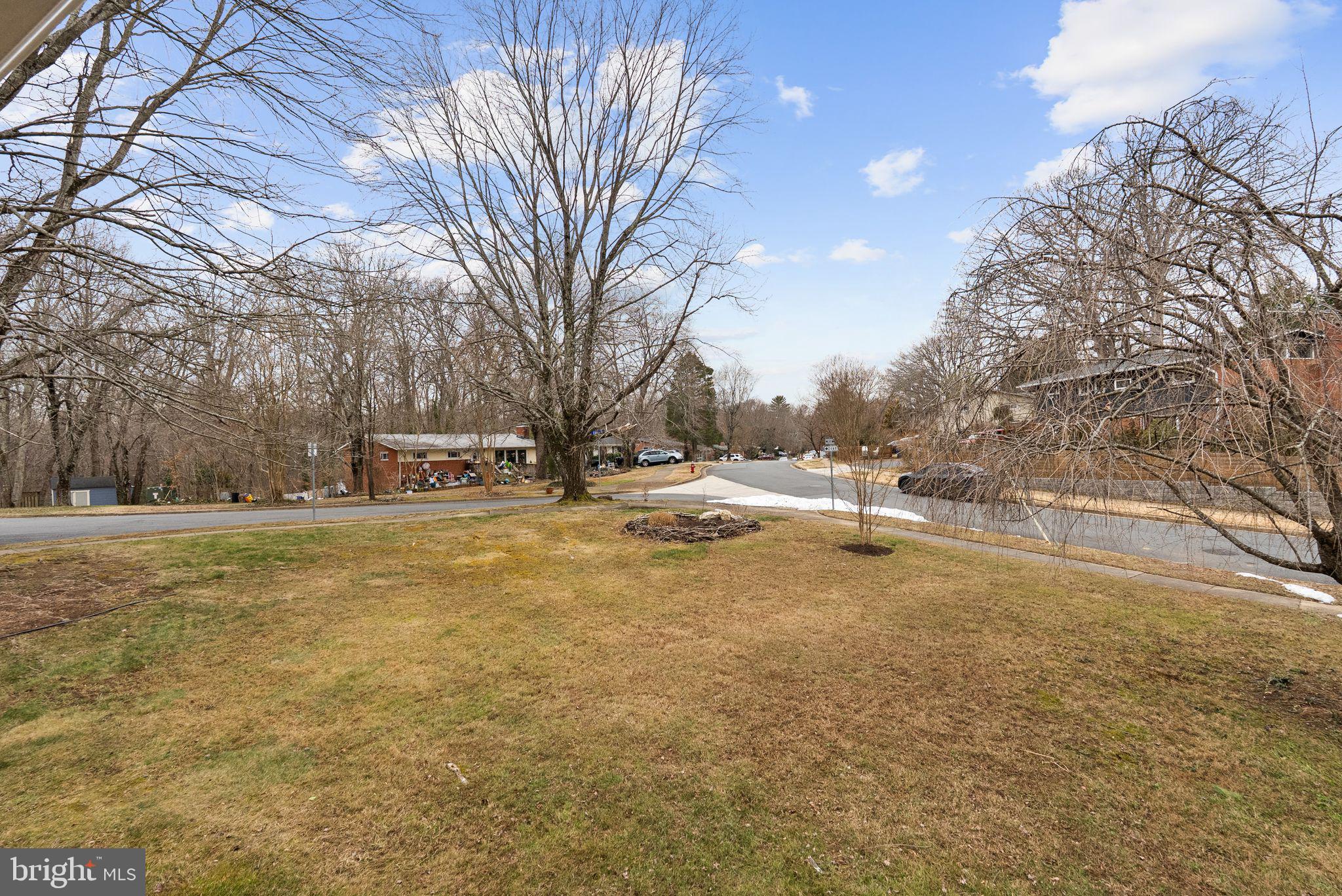 7405 Add Drive Falls Church, VA 22042 - Photo 72 of 74 a view of road with large trees