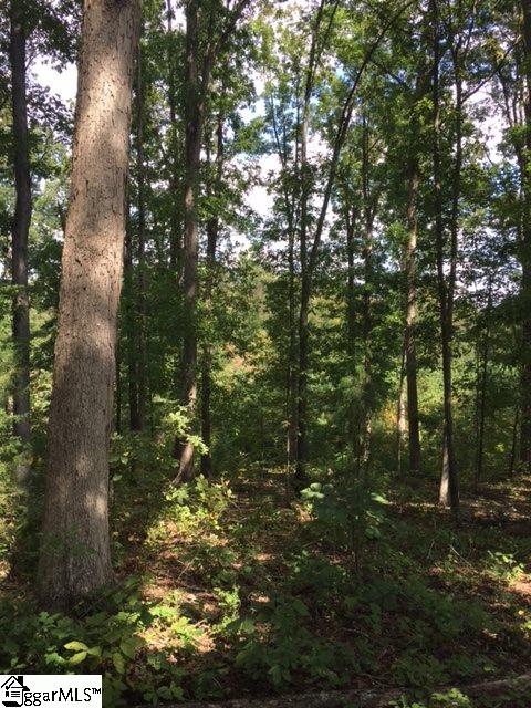 145 West Tyger Bridge Road Taylors, SC 29687 - Photo 2 of 4