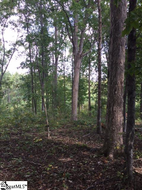 145 West Tyger Bridge Road Taylors, SC 29687 - Photo 3 of 4