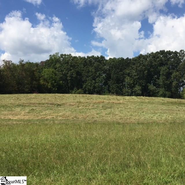 145 West Tyger Bridge Road Taylors, SC 29687 - Photo 4 of 4