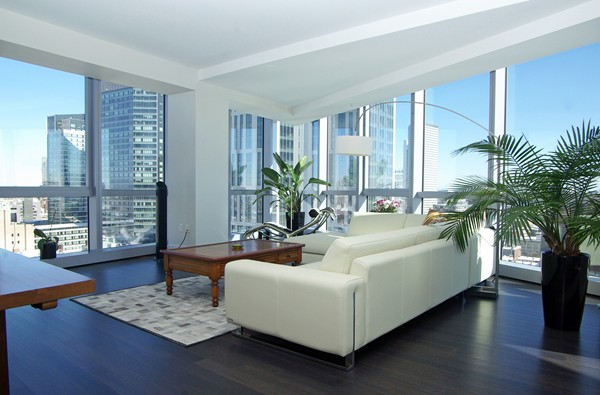a living room with furniture and a potted plant