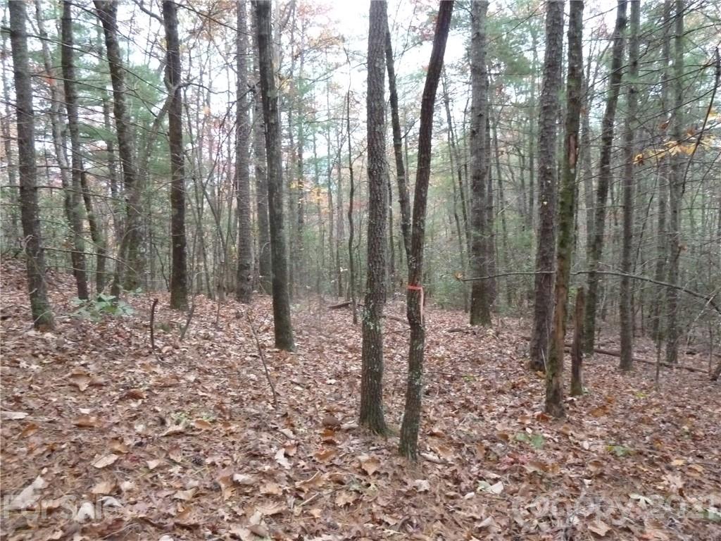 87 Oak Laurel Road, Unit 87 Brevard, NC 28712 - Photo 1 of 41 Gallery Image 1