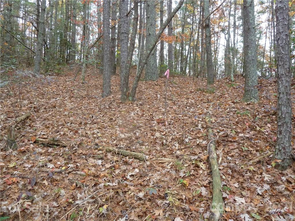 87 Oak Laurel Road, Unit 87 Brevard, NC 28712 - Photo 2 of 41 Gallery Image 2