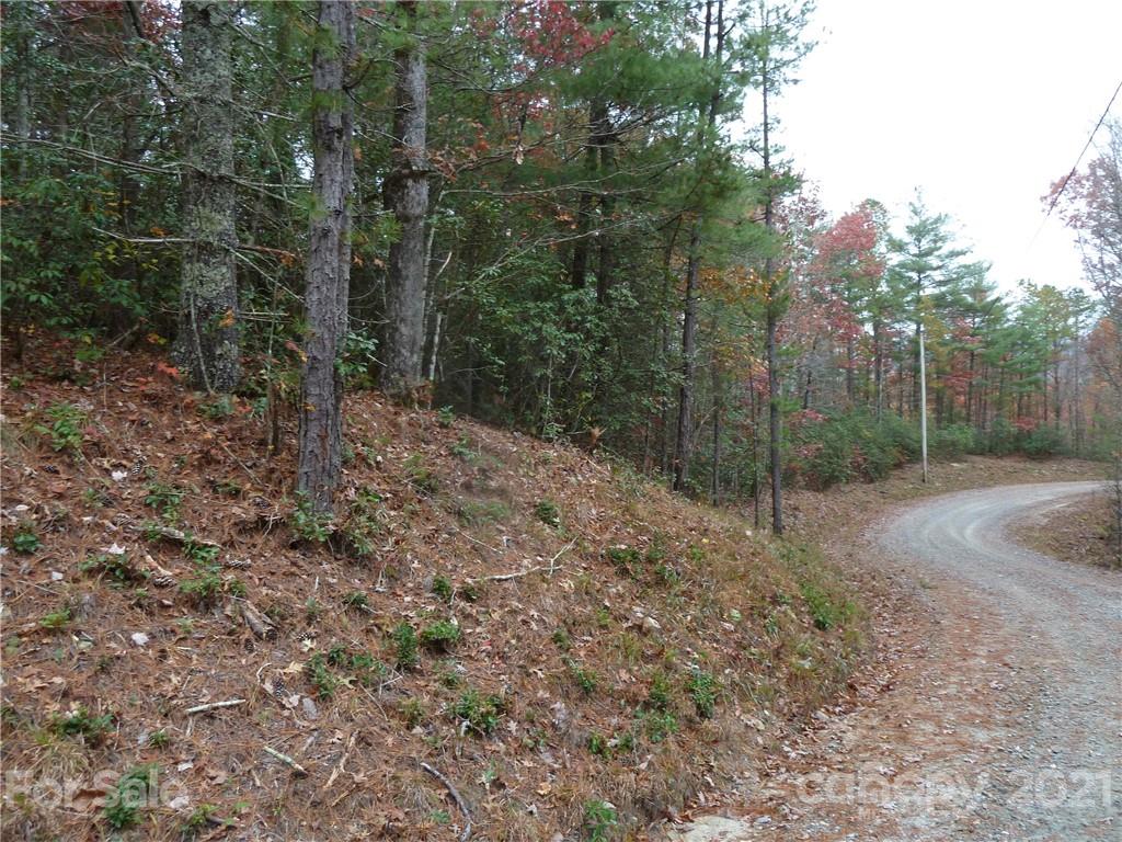 87 Oak Laurel Road, Unit 87 Brevard, NC 28712 - Photo 11 of 41 Gallery Image 11