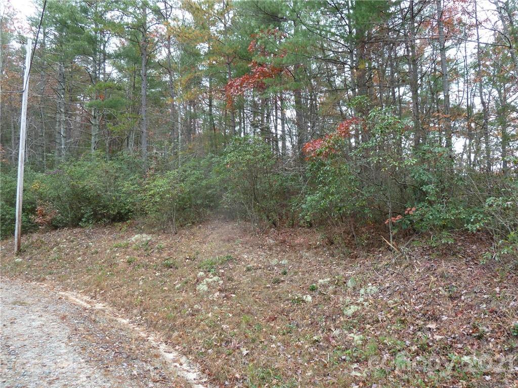 87 Oak Laurel Road, Unit 87 Brevard, NC 28712 - Photo 12 of 41 Gallery Image 12