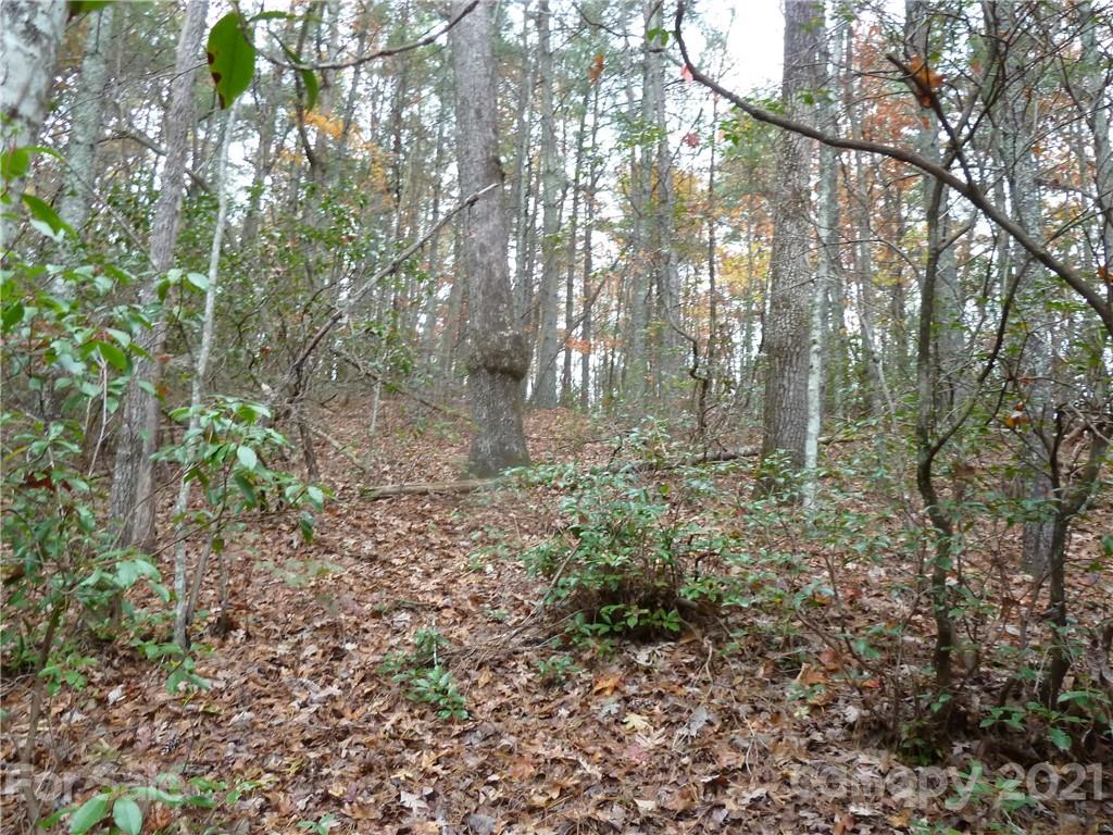 87 Oak Laurel Road, Unit 87 Brevard, NC 28712 - Photo 13 of 41 Gallery Image 13