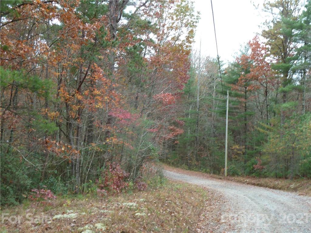 87 Oak Laurel Road, Unit 87 Brevard, NC 28712 - Photo 14 of 41 Gallery Image 14