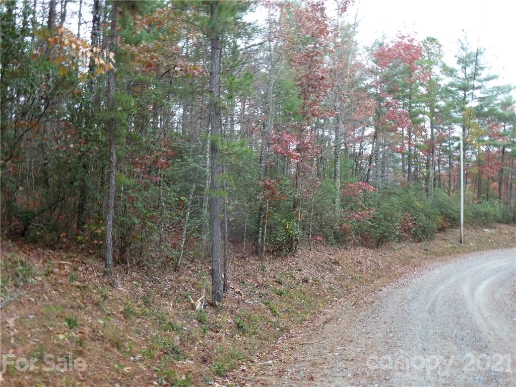 87 Oak Laurel Road, Unit 87 Brevard, NC 28712 - Photo 15 of 41 Gallery Image 15