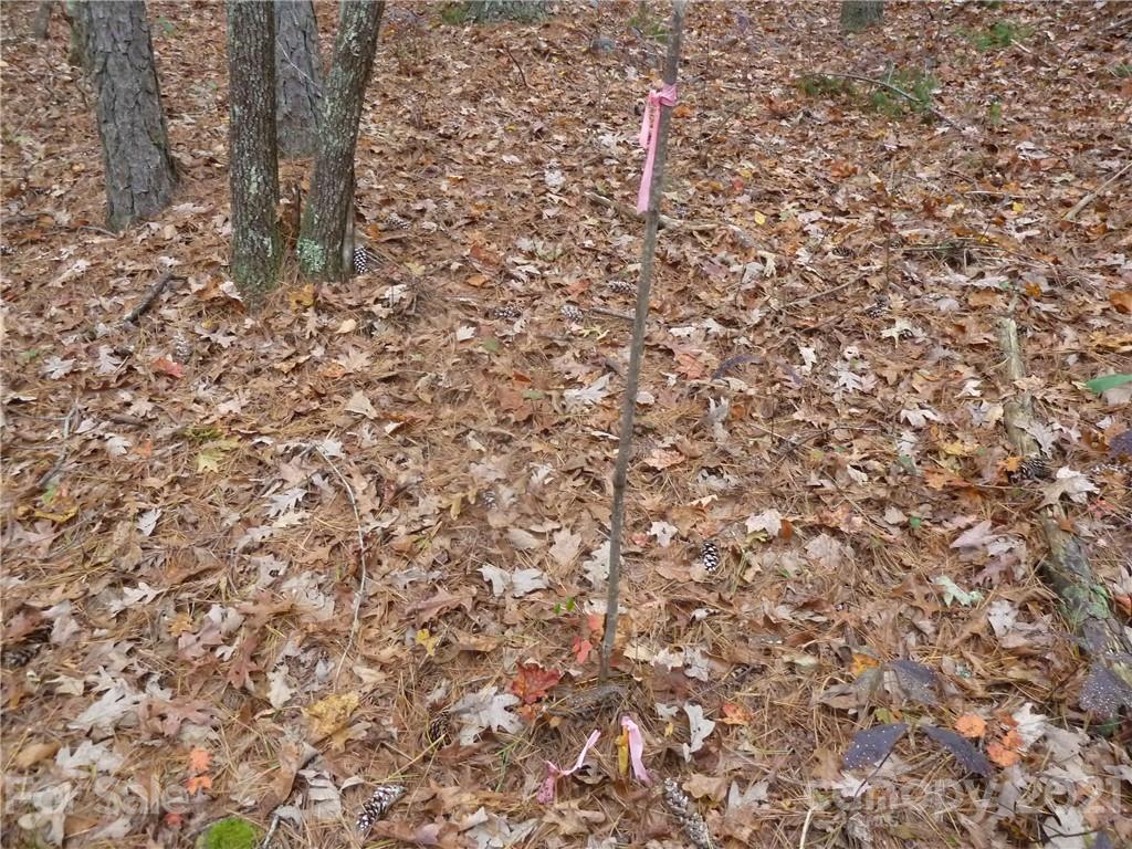 87 Oak Laurel Road, Unit 87 Brevard, NC 28712 - Photo 17 of 41 Gallery Image 17