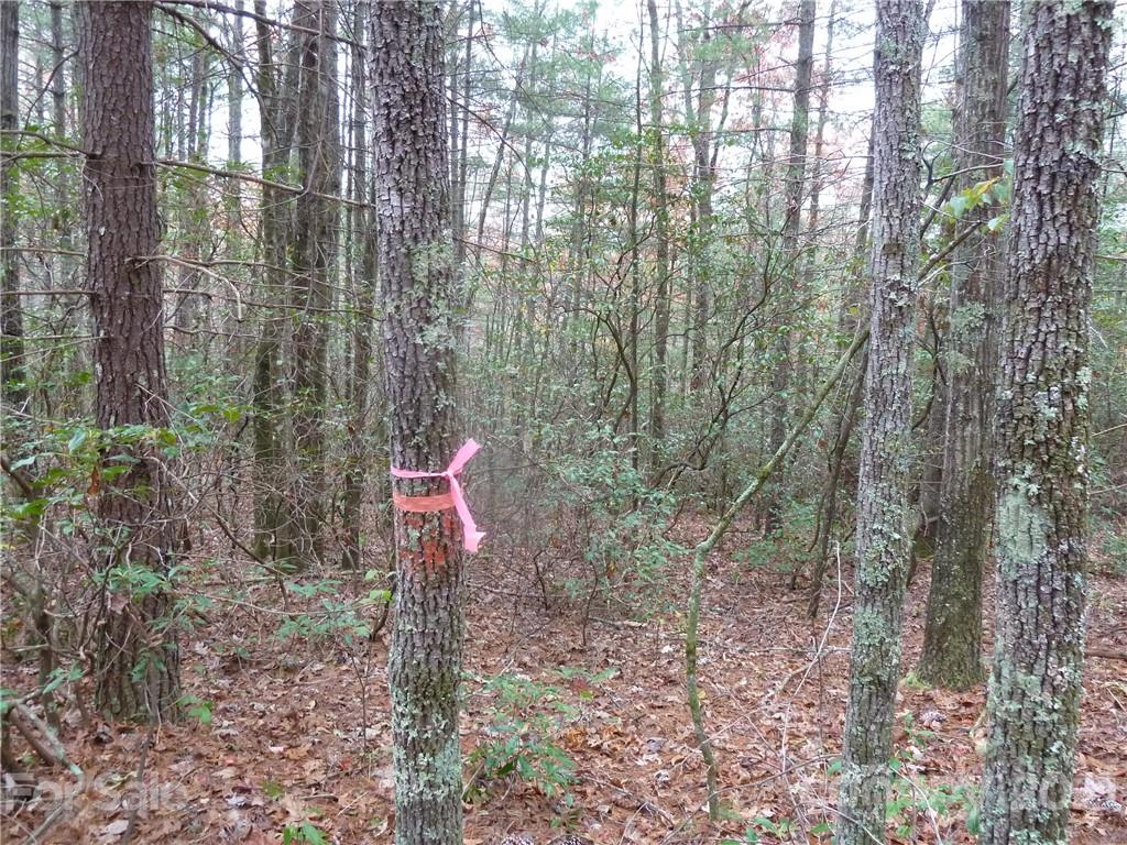 87 Oak Laurel Road, Unit 87 Brevard, NC 28712 - Photo 18 of 41 Gallery Image 18