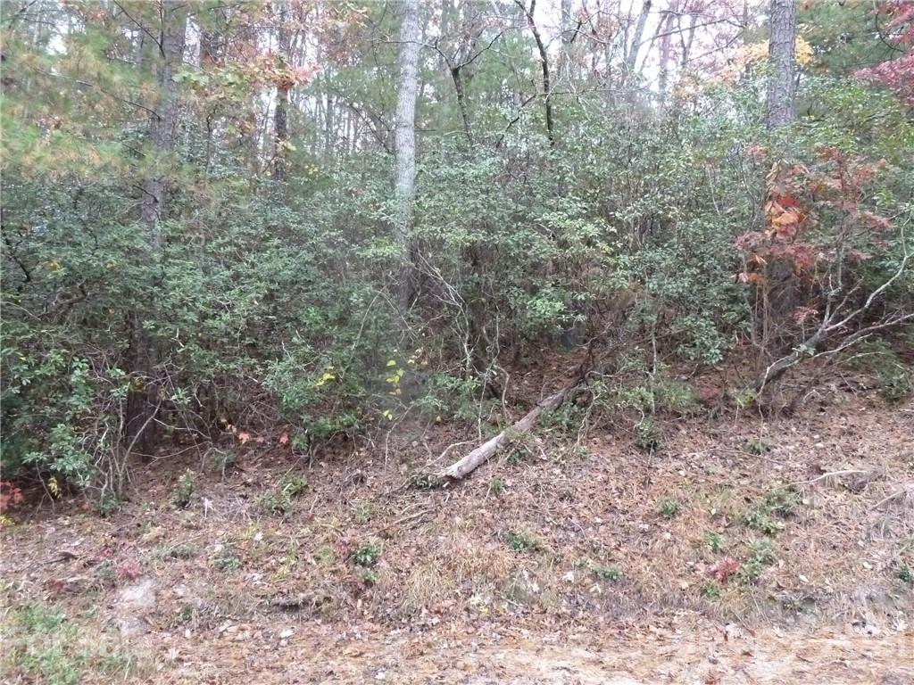 87 Oak Laurel Road, Unit 87 Brevard, NC 28712 - Photo 19 of 41 Gallery Image 19