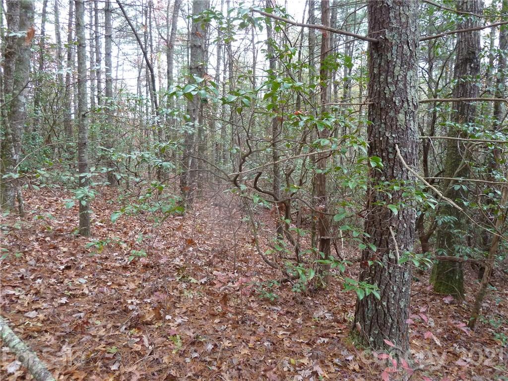 87 Oak Laurel Road, Unit 87 Brevard, NC 28712 - Photo 20 of 41 Gallery Image 20