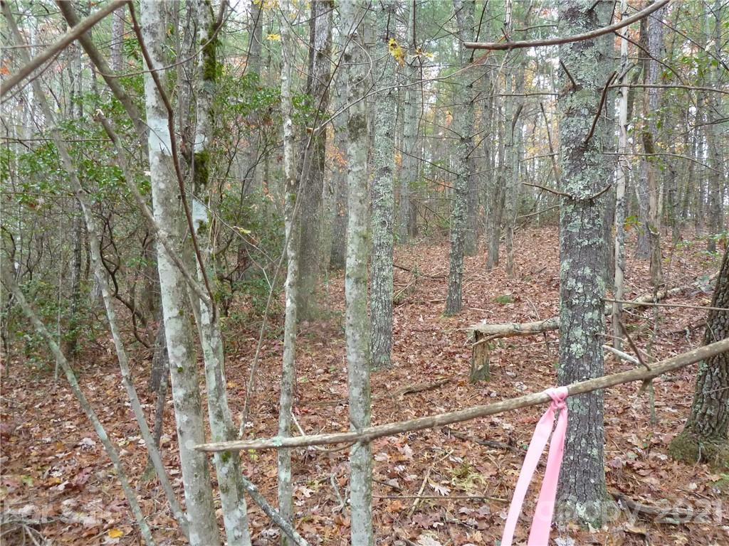 87 Oak Laurel Road, Unit 87 Brevard, NC 28712 - Photo 3 of 41 Gallery Image 3