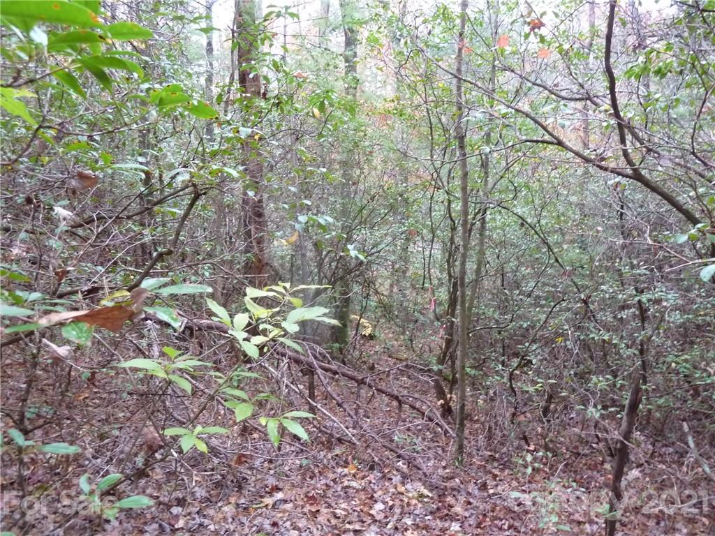 87 Oak Laurel Road, Unit 87 Brevard, NC 28712 - Photo 21 of 41 Gallery Image 21