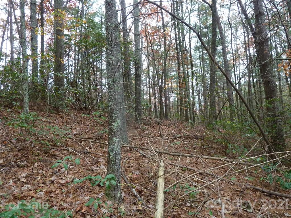 87 Oak Laurel Road, Unit 87 Brevard, NC 28712 - Photo 22 of 41 Gallery Image 22